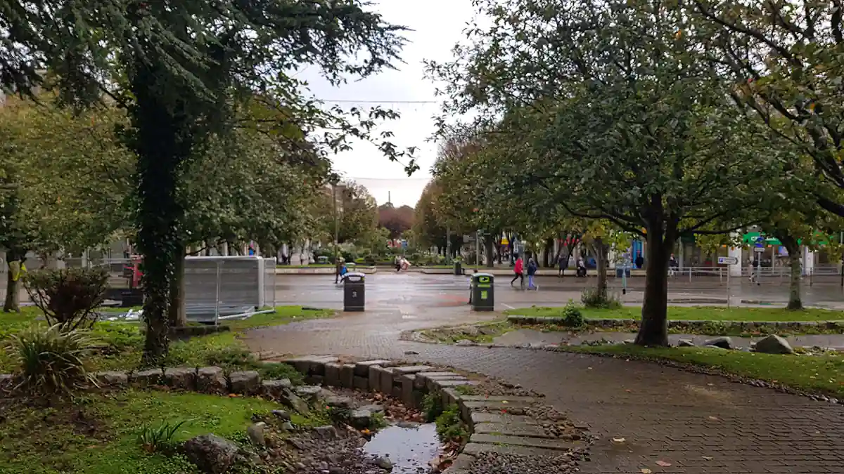 Armada Way trees