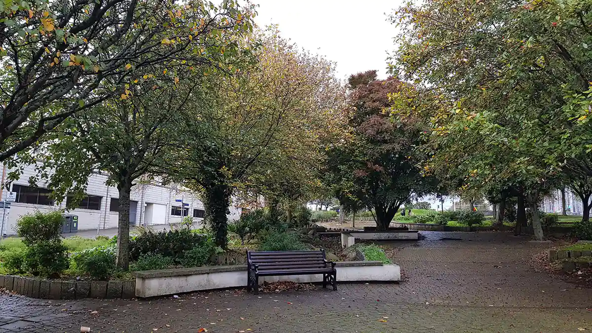 Armada Way trees