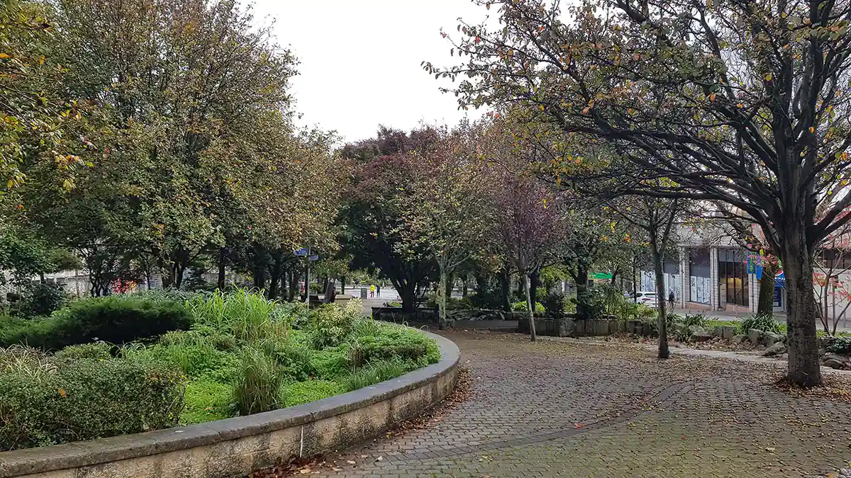 Armada Way trees
