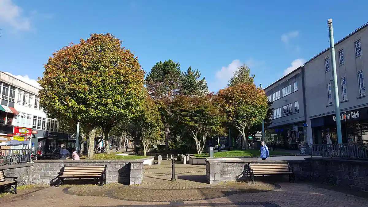 Armada Way trees