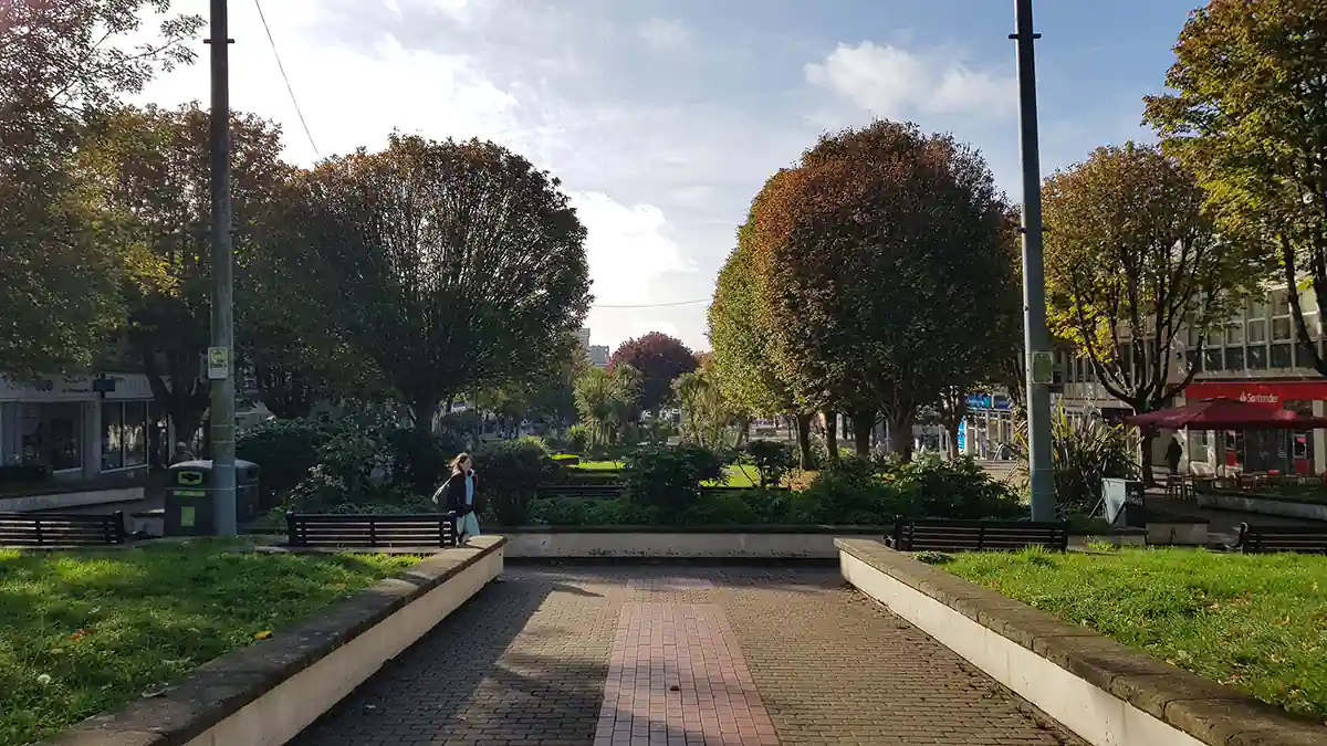 Armada Way trees