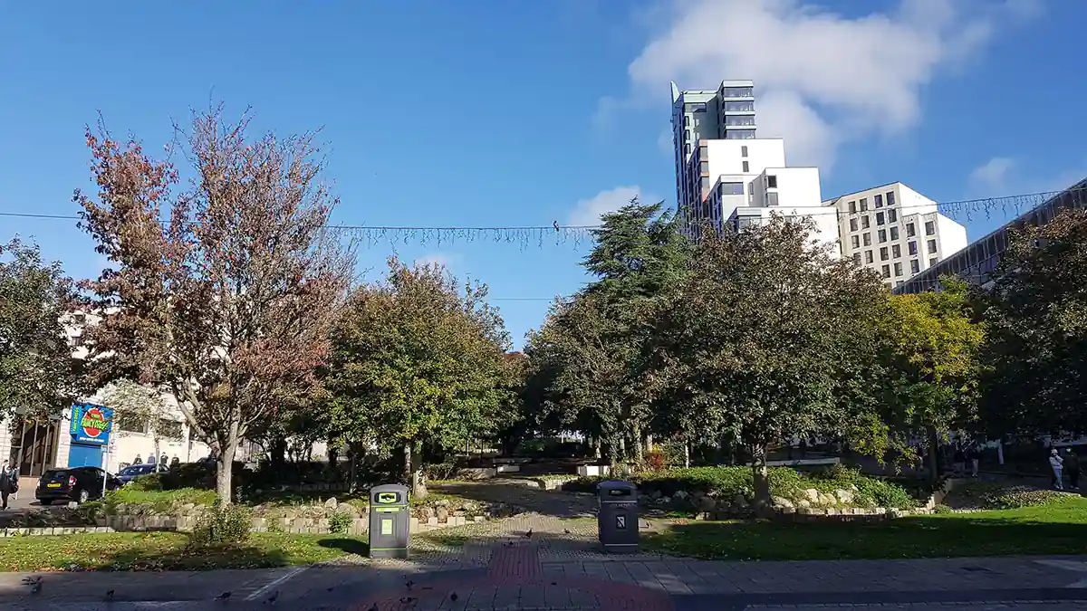 Armada Way trees